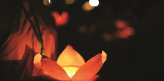 Bình Thạnh: Phóng sự Đại lễ Vu Lan Báo hiếu PL.2566