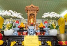 Bình Chánh: Ni trưởng Thích nữ Đạt Thuận viên tịch