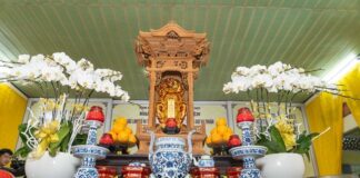 Bình Chánh: Ni trưởng Thích nữ Đạt Thuận viên tịch