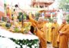 Bình Tân: Đại lễ Phật đản Phật lịch 2567 tại tổ đình Long Thạnh