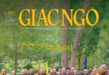 Báo Giác Ngộ số 1211: Cảnh báo về tình trạng sách giả, sách lậu liên quan đến các ấn phẩm Phật giáo
