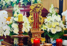 Quận 11: Ni trưởng Thích nữ Như Ý viên tịch