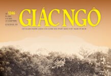 Báo Giác Ngộ số 1246: Đại lão Hòa thượng Thích Trí Tịnh – Một bậc hành giả Tịnh độ mẫu mực