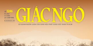 Báo Giác Ngộ số 1246: Đại lão Hòa thượng Thích Trí Tịnh – Một bậc hành giả Tịnh độ mẫu mực