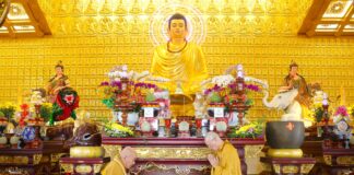 Quận 8: Tác pháp an cư kiết hạ PL.2568 – DL.2024