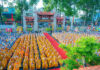 Kế hoạch tổ chức Đại lễ Phật đản Vesak PL.2569 tại Thành phố Hồ Chí Minh