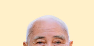 Trưởng lão Hòa thượng Thích Thiện An – Thành viên Hội đồng Chứng minh GHPGVN viên tịch