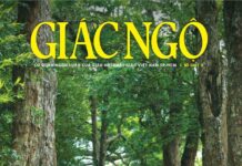 Báo Giác Ngộ số 1311