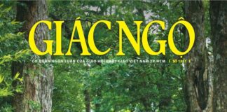 Báo Giác Ngộ số 1311