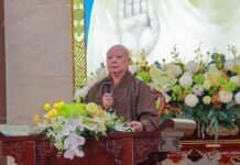 【TUẦN HUÂN TU PL.2569】Thảo luận chuyên đề về truyền thống và hiện đại