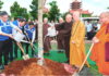 Phật giáo TP.HCM hưởng ứng Ngày Môi trường thế giới 2026 với công trình “Vườn cây Đại đoàn kết”